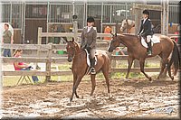 LC-Fair-2010_2623.jpg