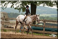 LC-Fair-2010_2834.jpg