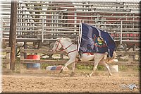 LC-Fair-2010_2221.jpg