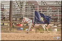 LC-Fair-2010_2222.jpg