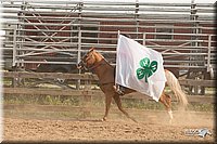 LC-Fair-2010_2224.jpg