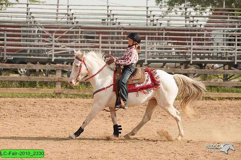 LC-Fair-2010_2330.jpg