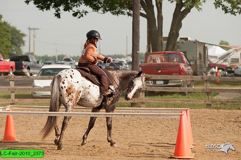 LC-Fair-2010_2373.jpg