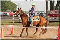LC-Fair-2010_2260.jpg