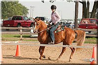 LC-Fair-2010_2300.jpg