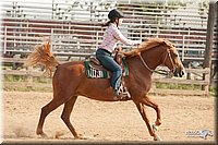 LC-Fair-2010_2306.jpg