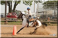 LC-Fair-2010_2307.jpg