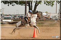 LC-Fair-2010_2312.jpg