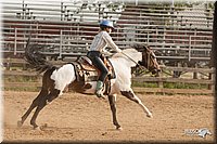 LC-Fair-2010_2314.jpg
