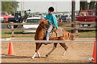 LC-Fair-2010_2316.jpg