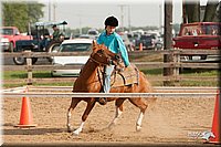 LC-Fair-2010_2317.jpg