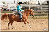 LC-Fair-2010_2320.jpg