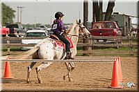 LC-Fair-2010_2323.jpg