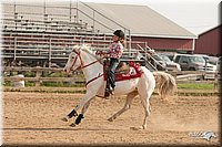 LC-Fair-2010_2327.jpg