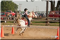 LC-Fair-2010_2335.jpg