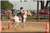 LC-Fair-2010_2336.jpg