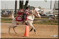 LC-Fair-2010_2340.jpg