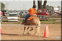 LC-Fair-2010_2345.jpg