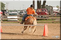 LC-Fair-2010_2346.jpg