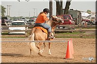 LC-Fair-2010_2347.jpg