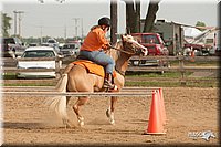 LC-Fair-2010_2348.jpg