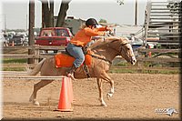 LC-Fair-2010_2350.jpg
