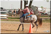 LC-Fair-2010_2351.jpg