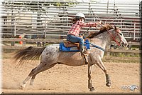 LC-Fair-2010_2360.jpg