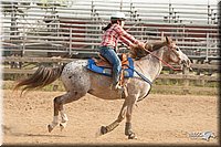 LC-Fair-2010_2361.jpg