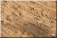 LC-Fair-2010_2362.jpg