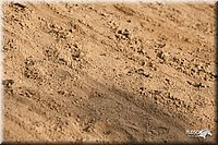 LC-Fair-2010_2363.jpg