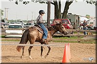 LC-Fair-2010_2365.jpg