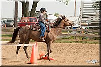 LC-Fair-2010_2366.jpg