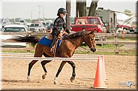 LC-Fair-2010_2370.jpg
