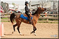 LC-Fair-2010_2371.jpg