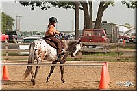 LC-Fair-2010_2373.jpg