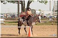 LC-Fair-2010_2374.jpg