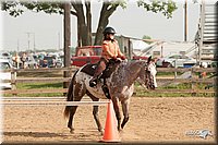 LC-Fair-2010_2375.jpg