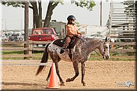 LC-Fair-2010_2376.jpg