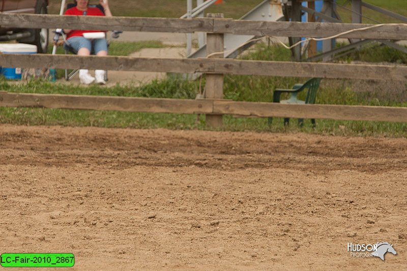 LC-Fair-2010_2867.jpg