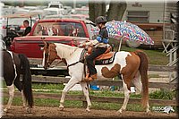 LC-Fair-2010_2887.jpg