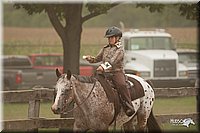 LC-Fair-2010_2894.jpg