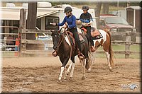LC-Fair-2010_2900.jpg