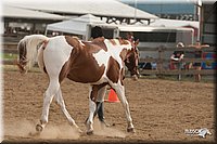 LC-Fair-2010_2403.jpg