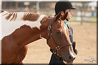 LC-Fair-2010_2407.jpg
