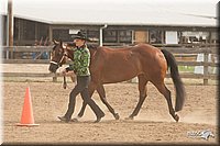 LC-Fair-2010_2409.jpg