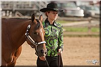 LC-Fair-2010_2416.jpg