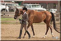 LC-Fair-2010_2419.jpg