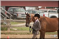 LC-Fair-2010_2420.jpg