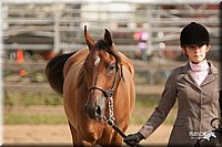 LC-Fair-2010_2423.jpg